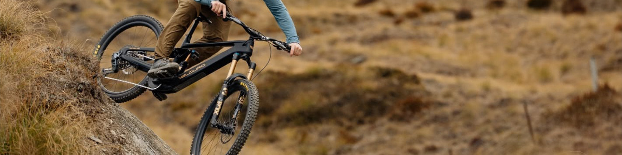Bikes - Rogue